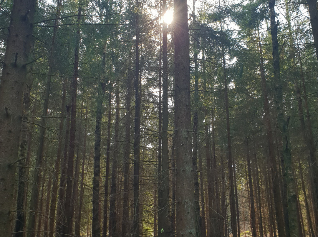 北欧民俗住宿加早餐酒店主图