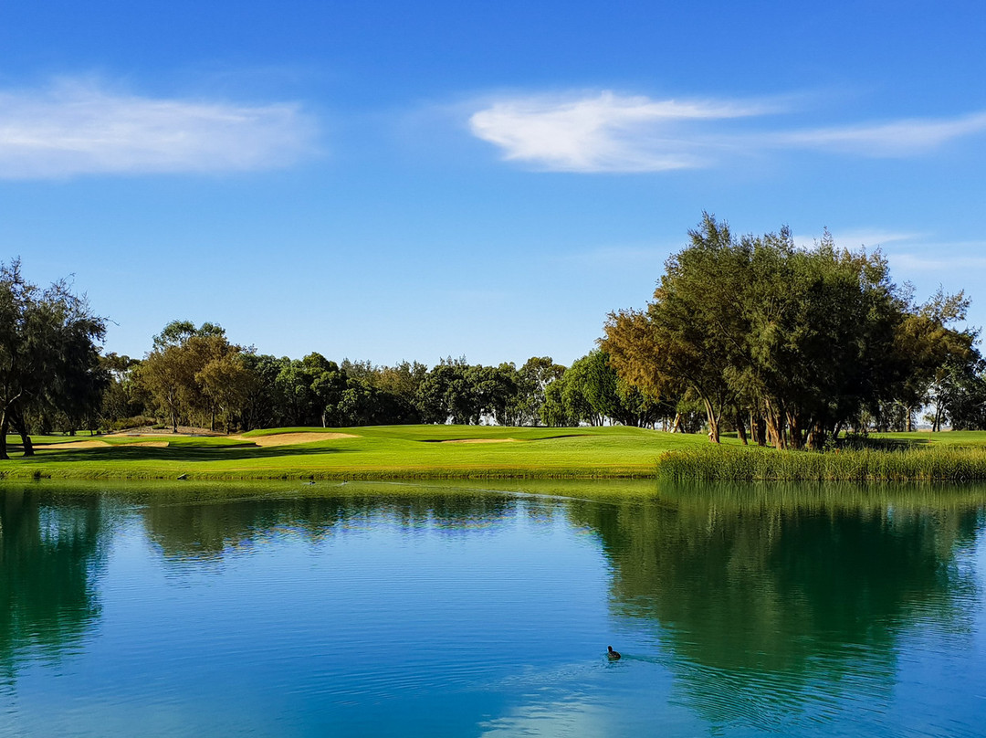 Lake Boga餐馆和美食-Murray Downs Golf & Country Club
