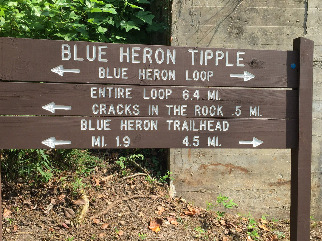 Blue Heron Interpretive Center景点图片