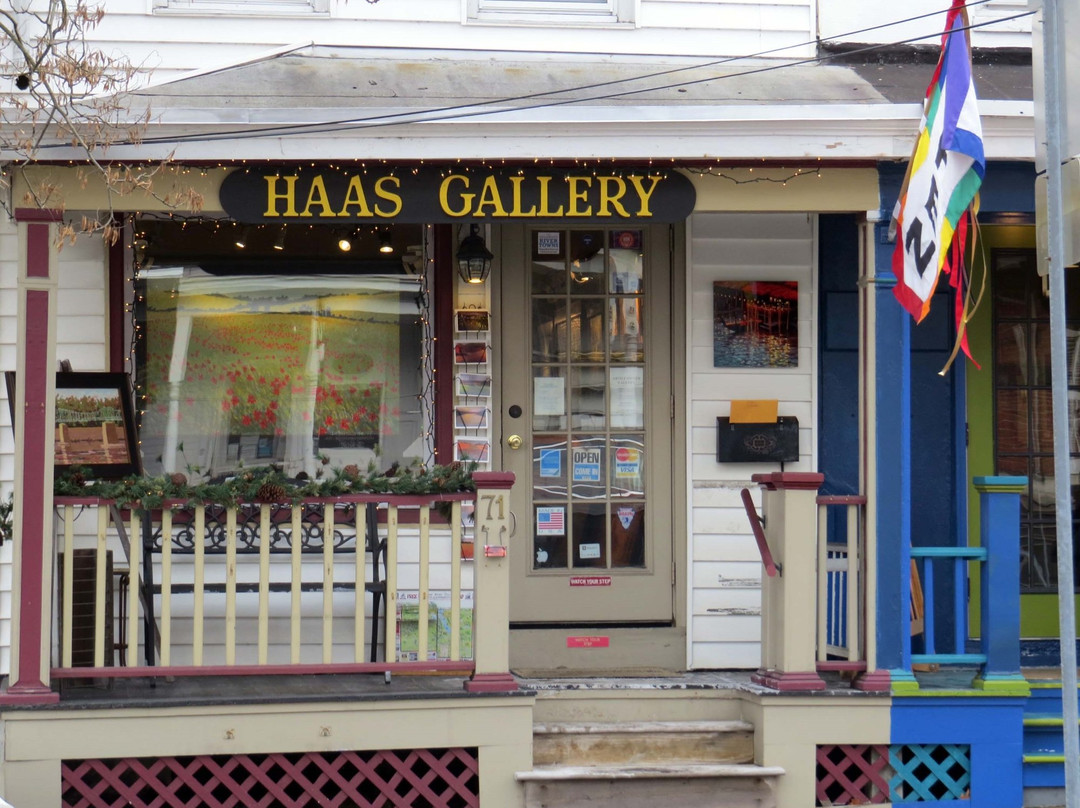 Haas Gallery景点图片