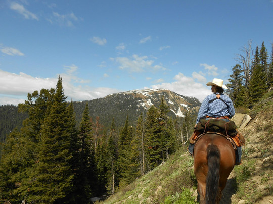Yellowstone Mountain Guides Day Tours