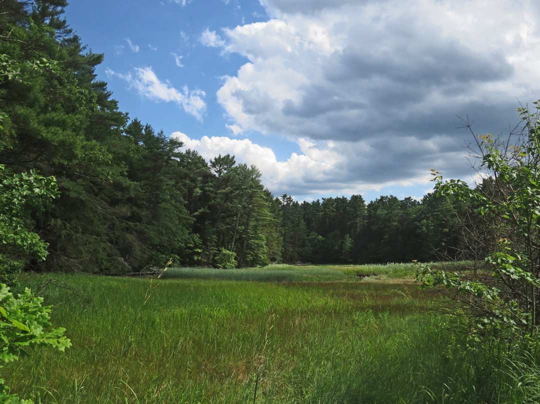 Falmouth Nature Preserve景点图片