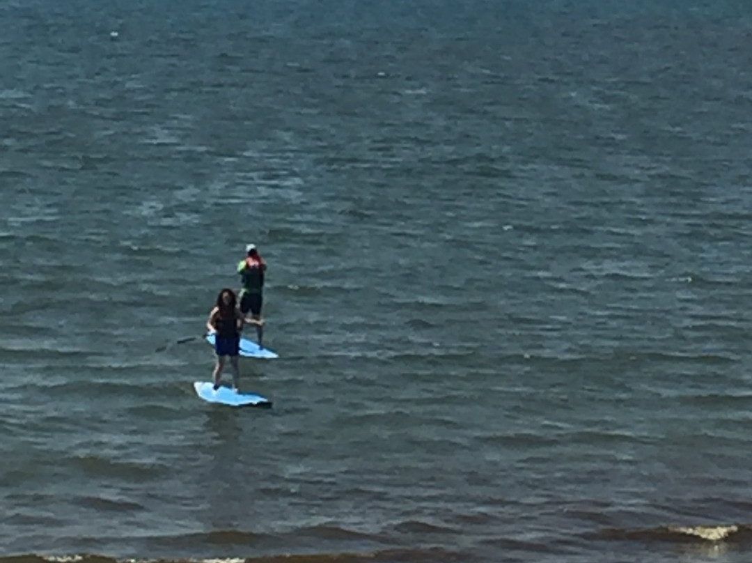 Ocean House Surf & Skate-Swampscott必去景点