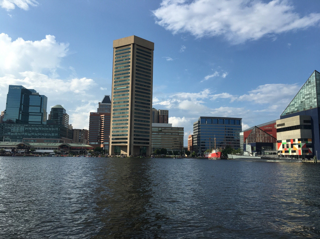 Baltimore Water Taxi景点图片