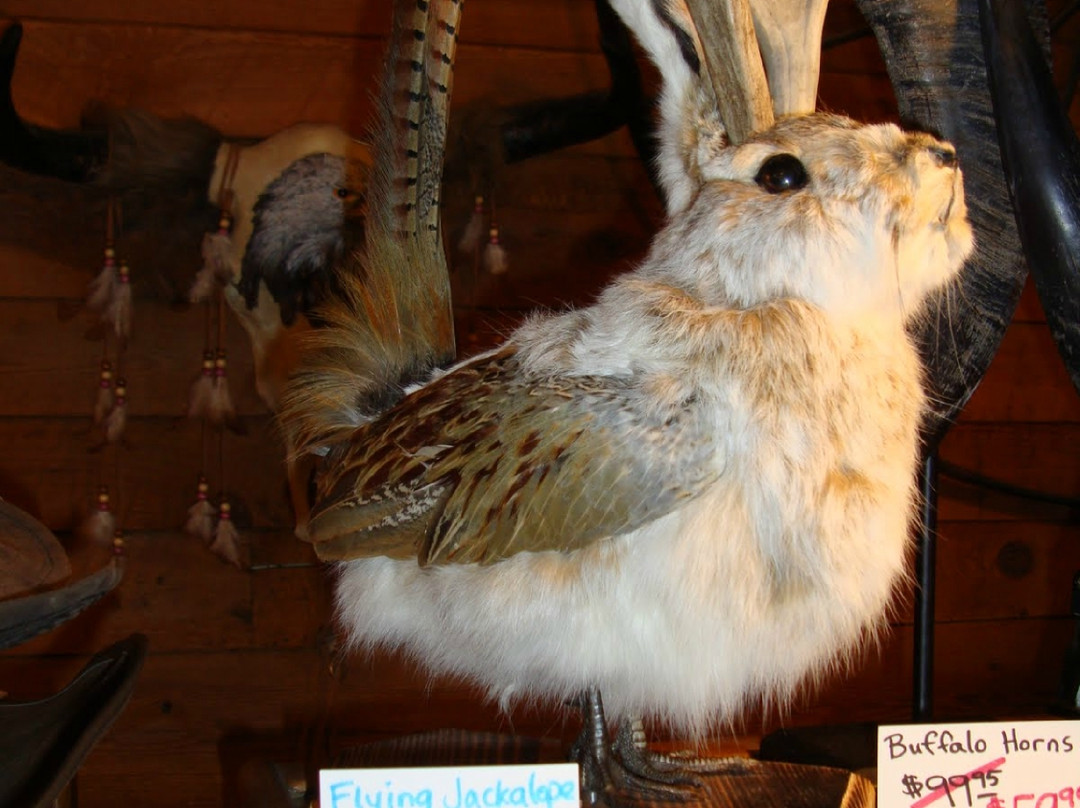 Dahlonega General Store-达洛尼加必去景点