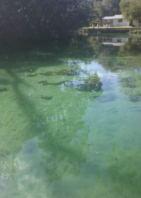 Bayport River Safari