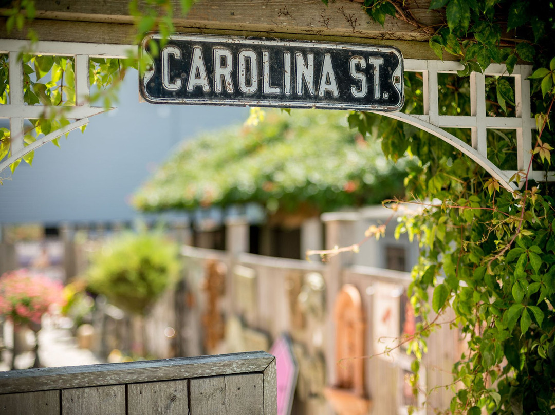 Carolina Street Garden & Home