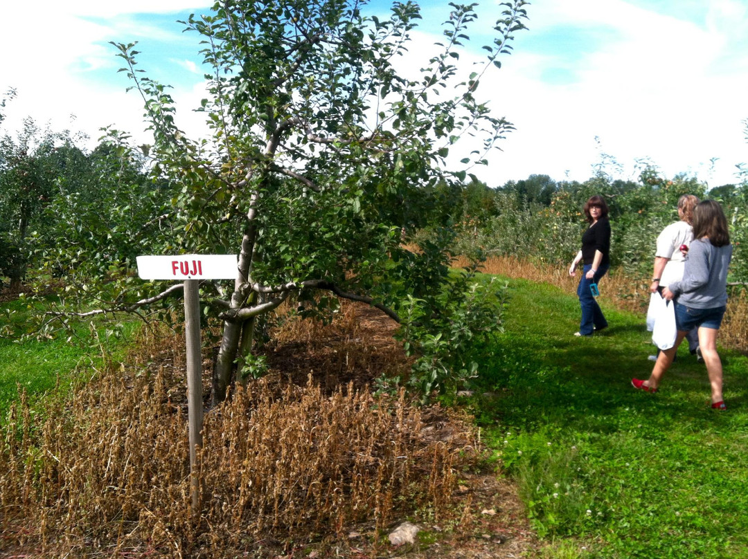 Beardsley's Cider Mill & Orchard景点图片