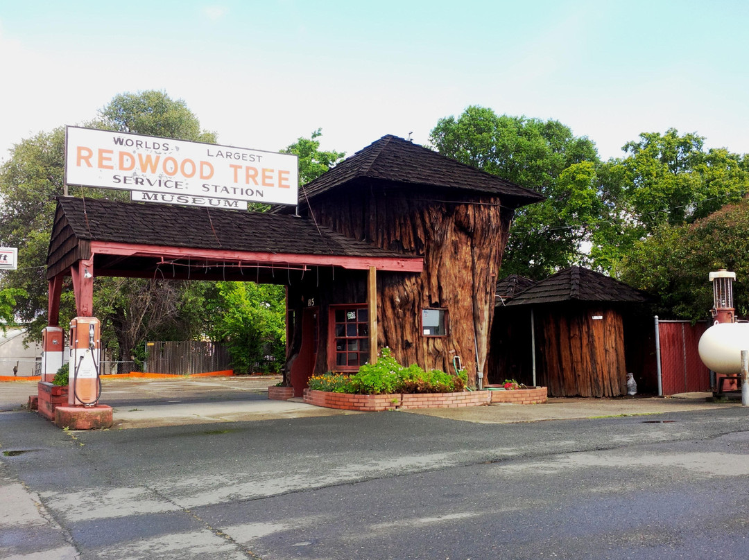 World's Largest Redwood Tree Service Station景点图片