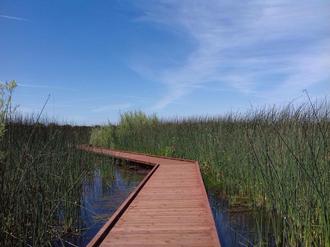 Walnut Grove旅游景点-Cosumnes River Preserve