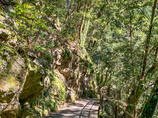 Hatonosu Valley-奥多摩町必去景点