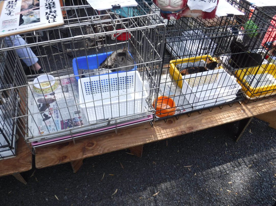 Inbagun Yakushoato no Inumaki-佐仓市必去景点