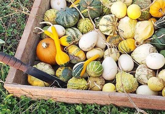 865 Axe Throwing-诺克斯维尔必去景点