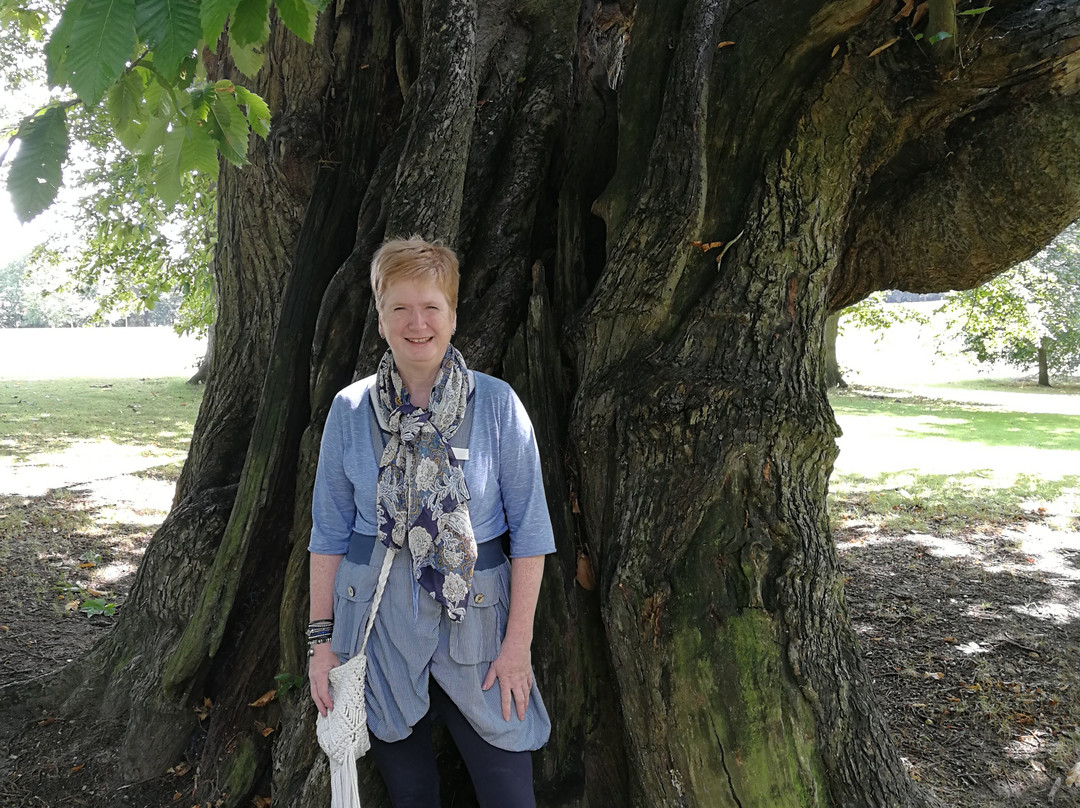 Christchurch Park-伊普斯威奇必去景点