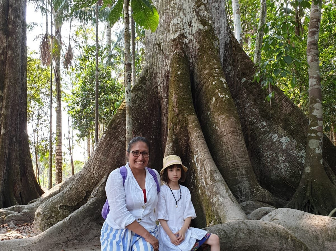 Tingo Maria旅游攻略图片