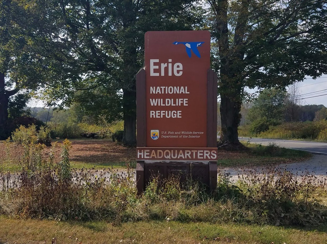 Erie National Wildlife Refuge景点图片