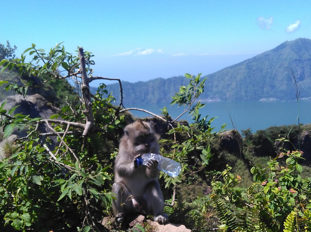 Trekking Travel in bali-Songan必去景点