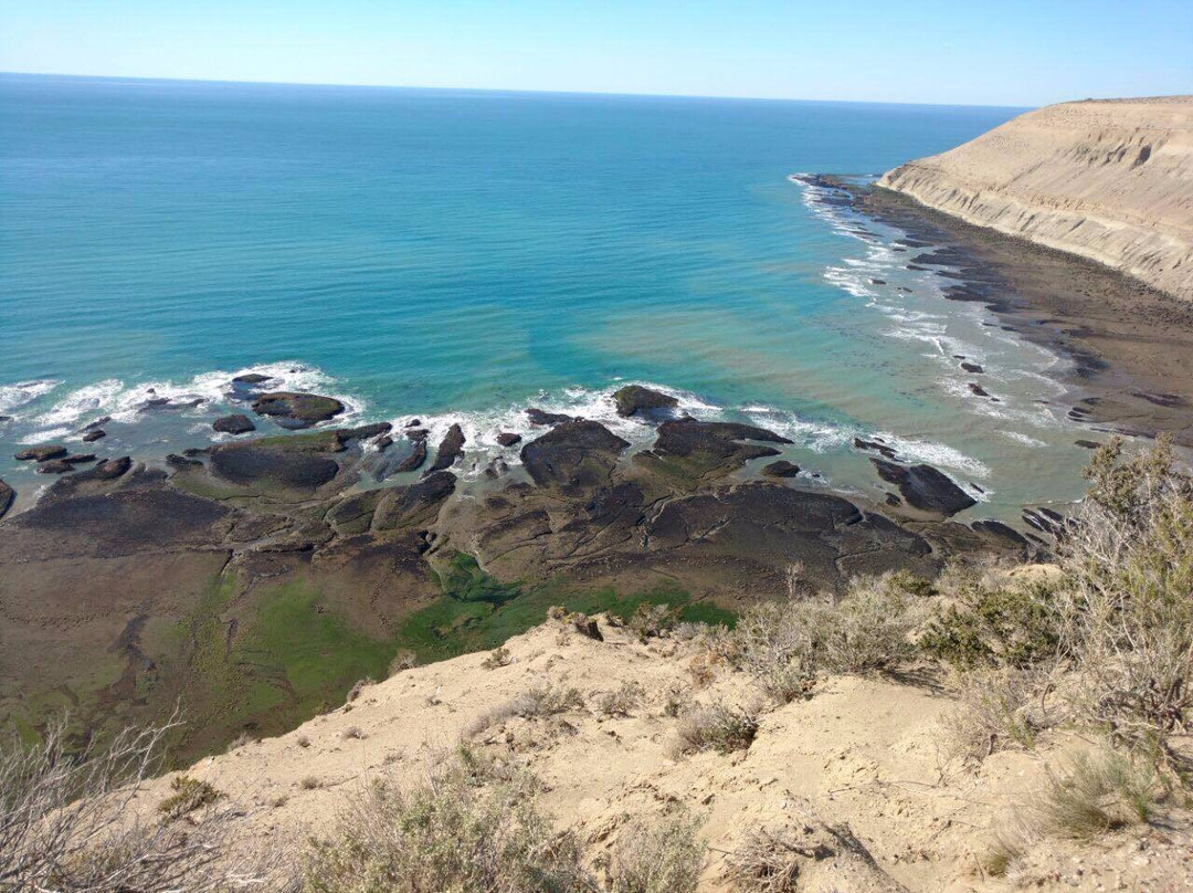 Caleta Olivia旅游景点-Museo Regional Rada Tilly