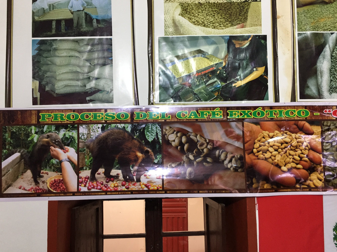 Selva Sur Coffee-Pucara必去景点