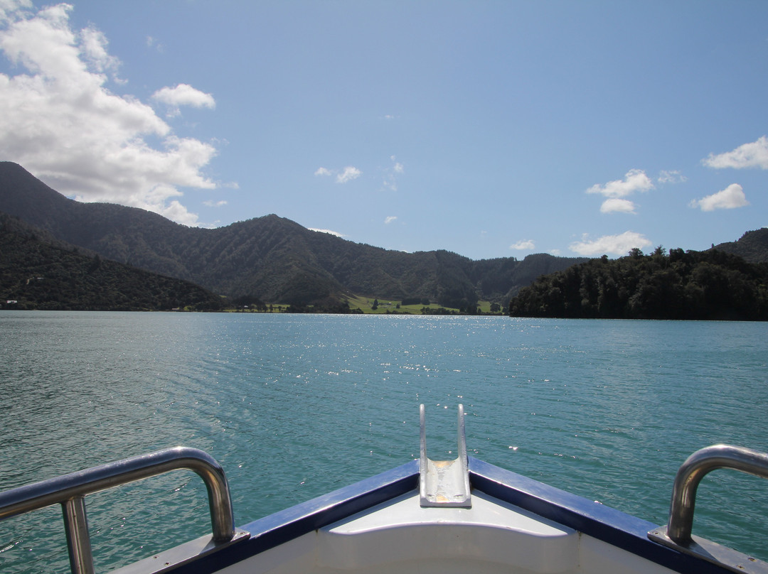 Pelorus Tours - Private Tours景点图片