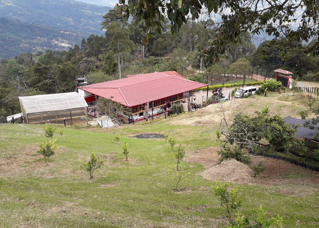 Cafe Jaguar-Silvania必去景点