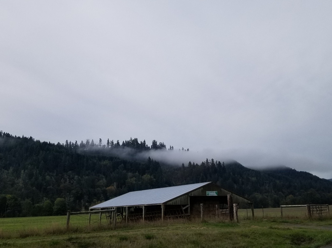 Oregon Route 38景点图片