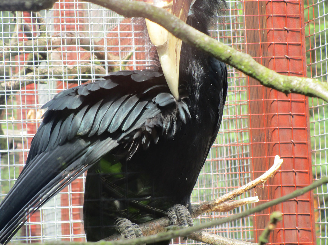 Zoo Kosice-科希策必去景点