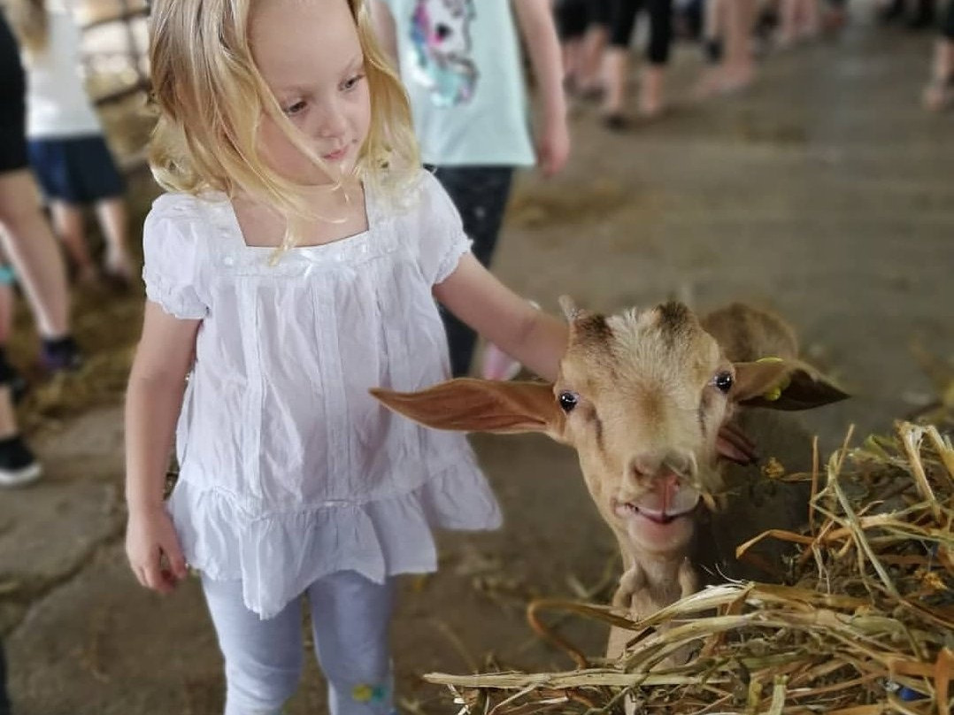 Shmueli Farm-Be'er Tuvia必去景点