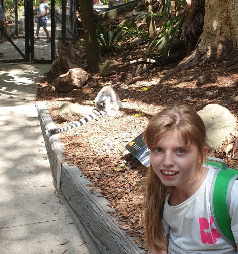 Treetop Challenge-可伦宾必去景点