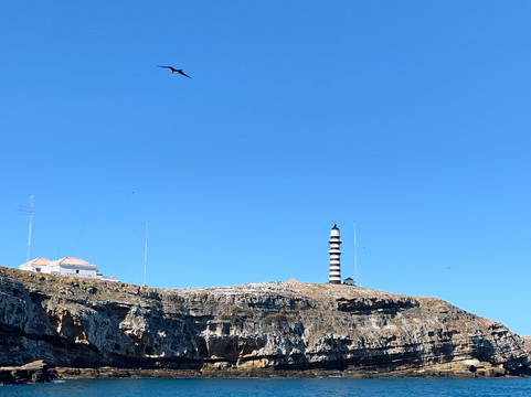 Abrolhos Marine National Park-Alcobaca必去景点