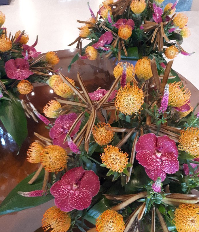 芭芭拉酒店主图