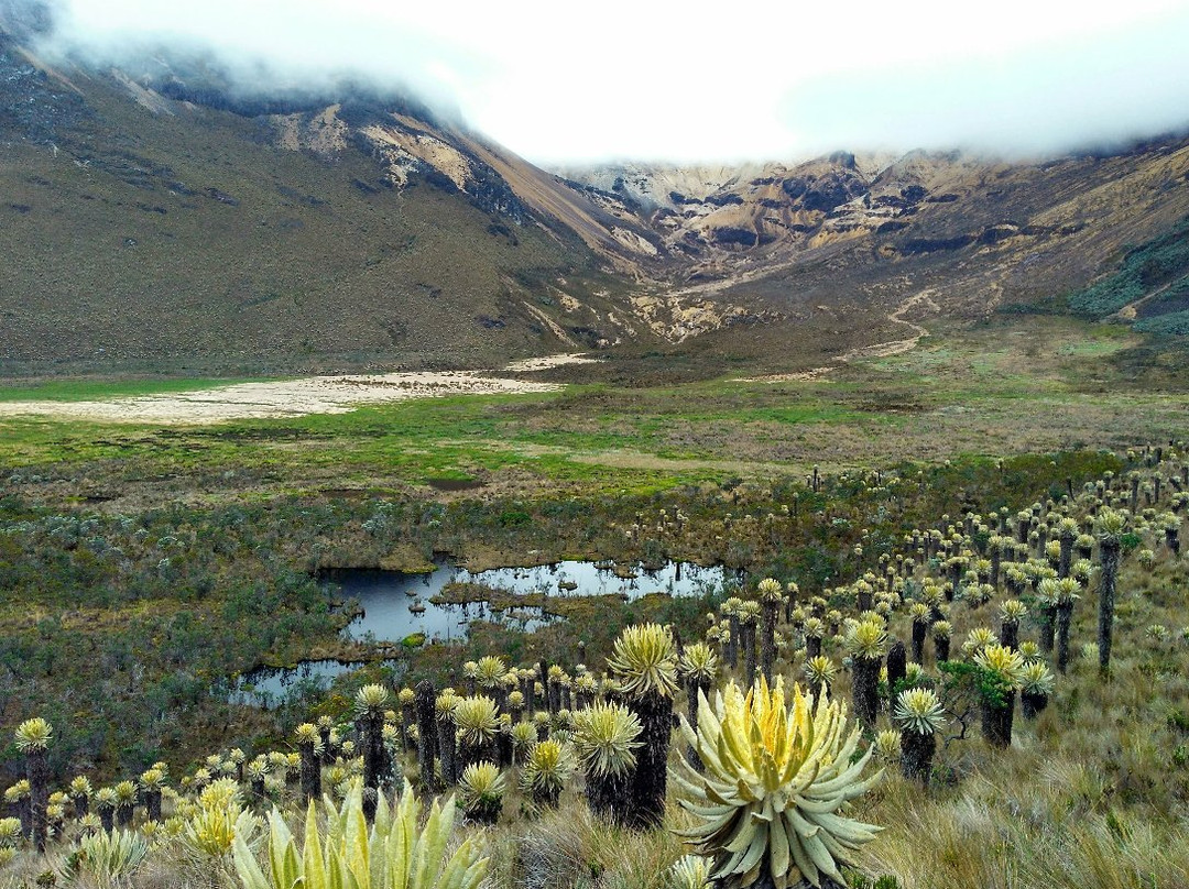 Rutas de Montana-萨伦托必去景点