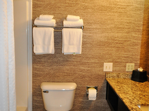 安克里奇快捷假日酒店主图