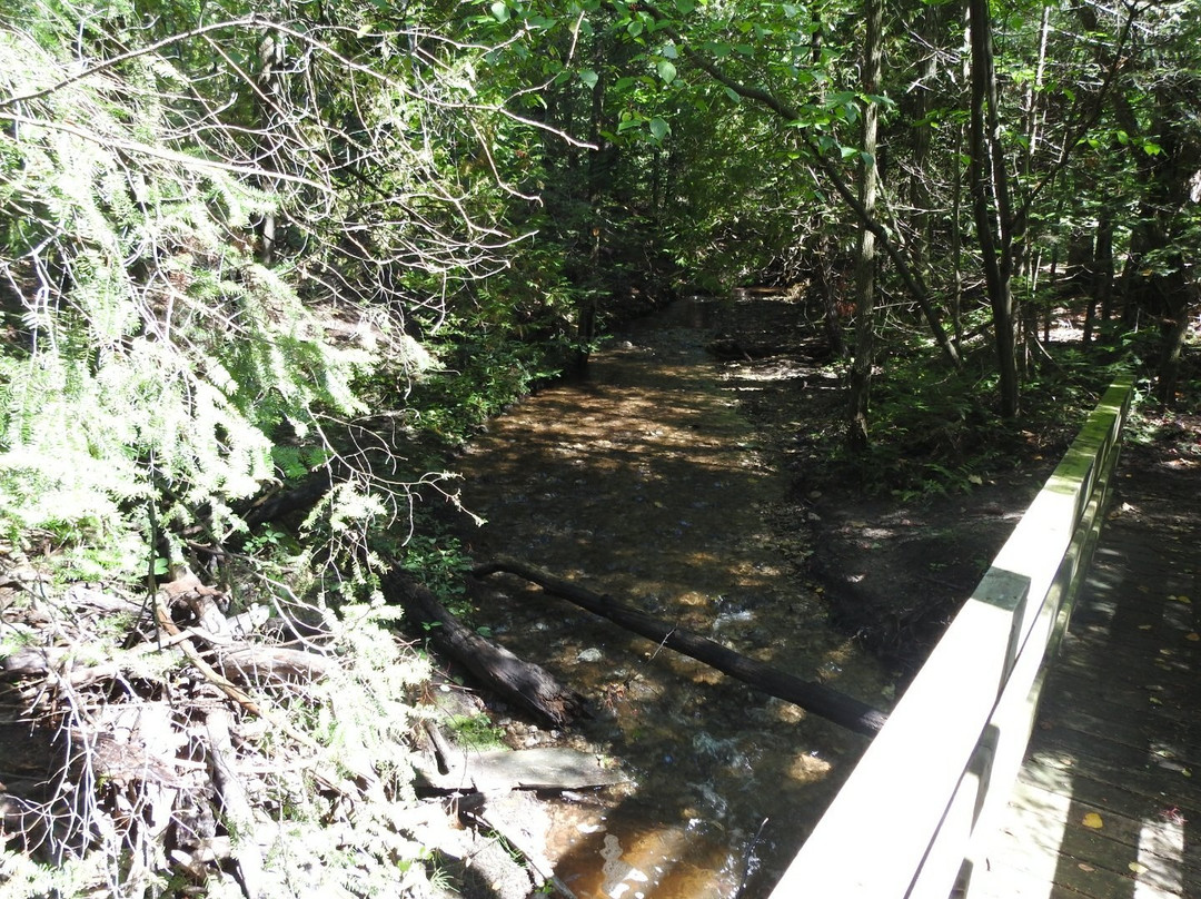 Antrim Creek Natural Area景点图片
