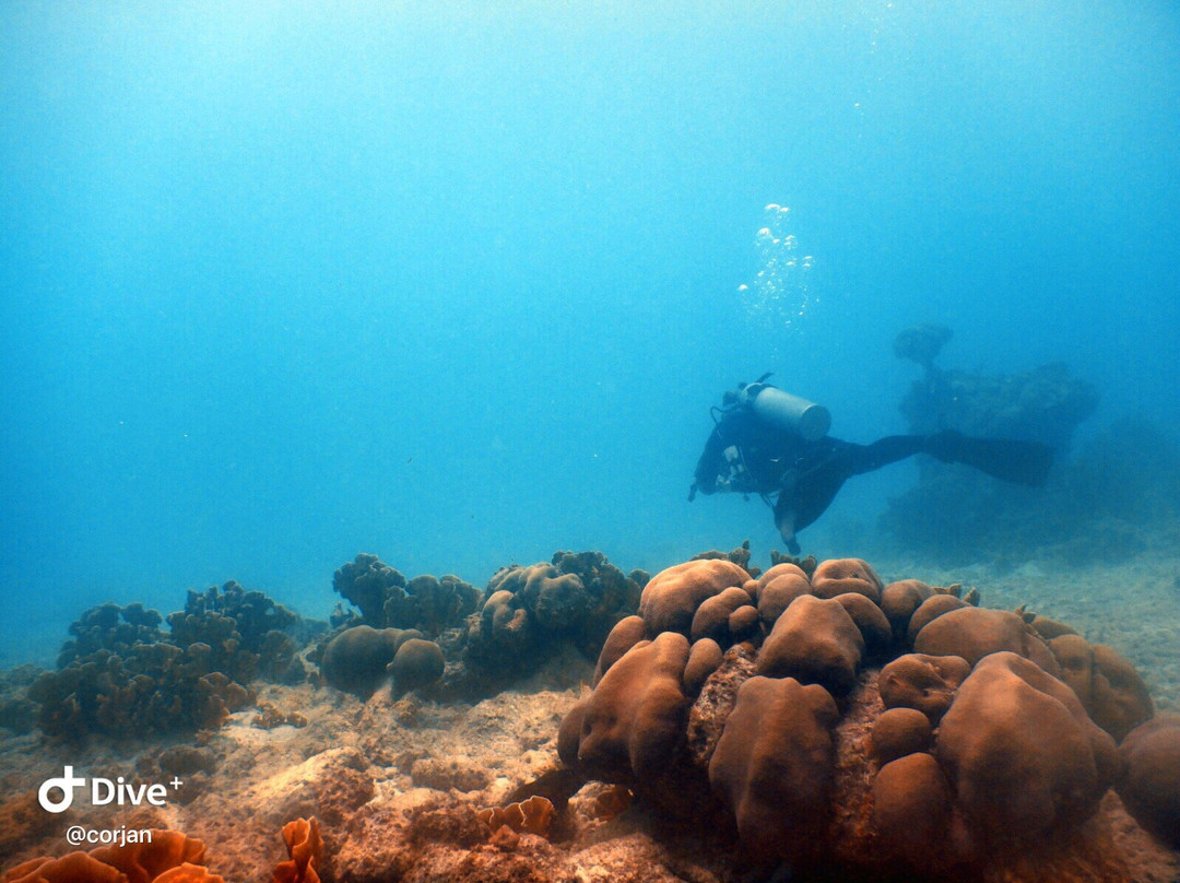 Boca Slagbaai-Washington-Slagbaai National Park必去景点