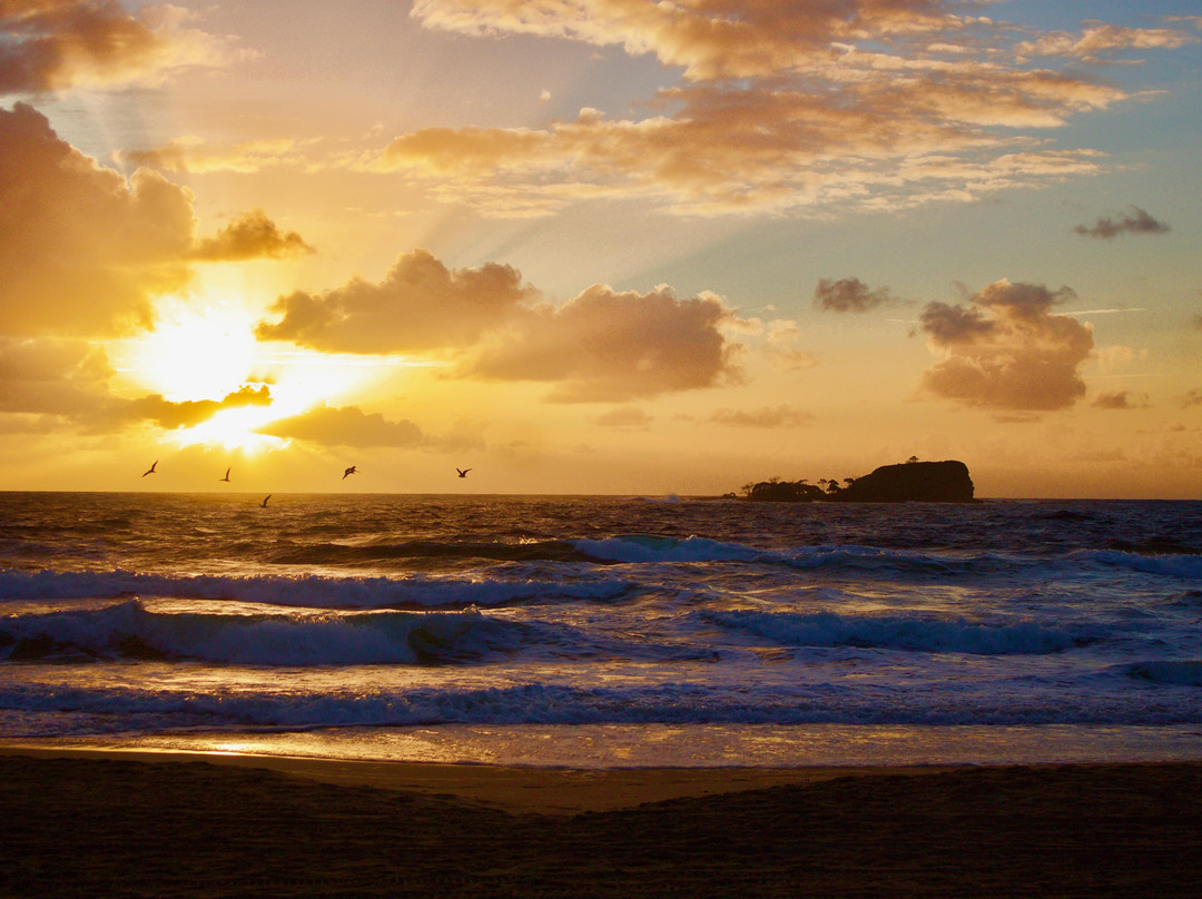 Saltwater Eco Tours-穆鲁拉巴必去景点