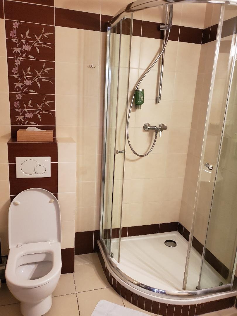 Eco friendly Hotel Dalia-浴室