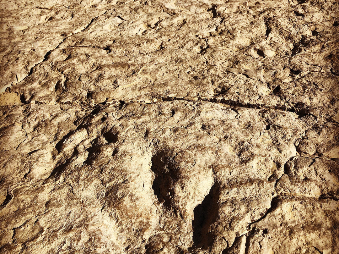 Red Gulch Dinosaur Tracksite-Greybull必去景点