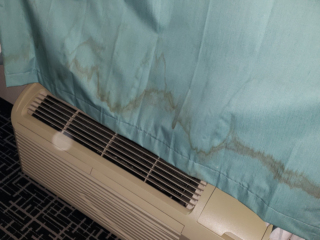 La Quinta Inn & Suites by Wyndham Bowling Green主图