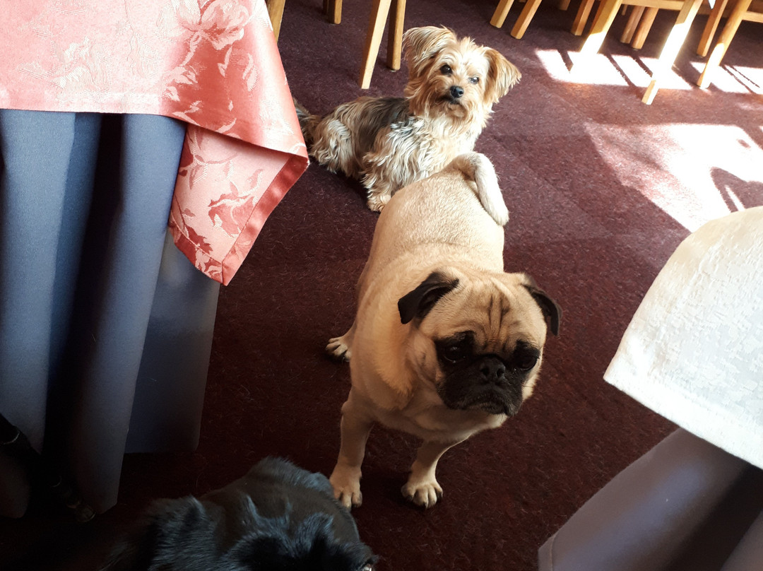 Hotel Lizumerhof主图