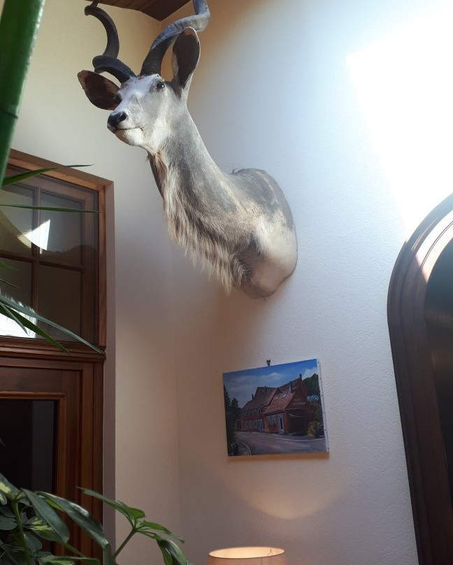Hotel Restaurant A La Couronne D'Or主图