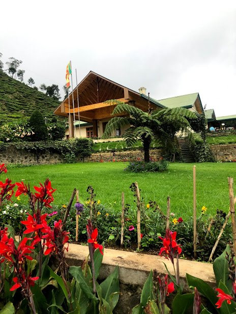 布什茶酒店主图