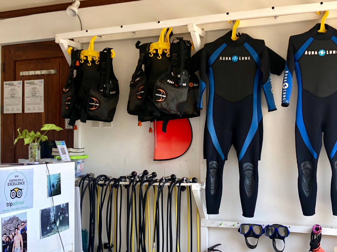 Ranmarc Dive Shop and Services-爱妮岛必去景点