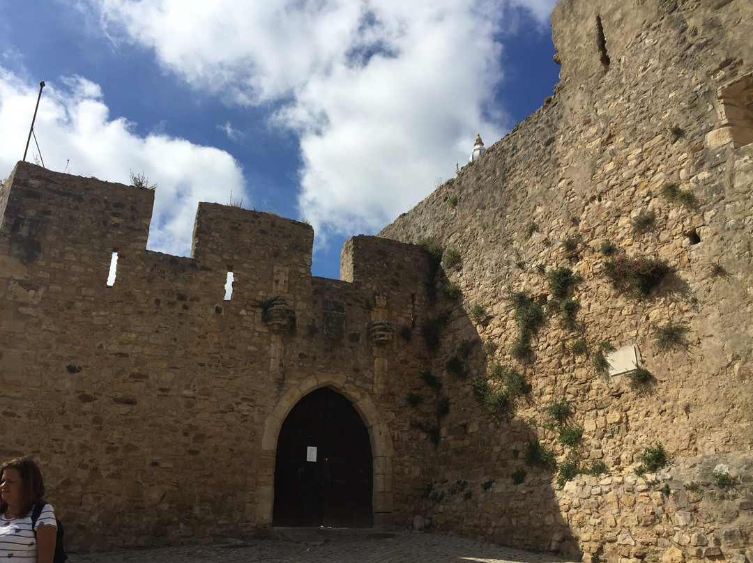 Castelo de Torres Vedras景点图片