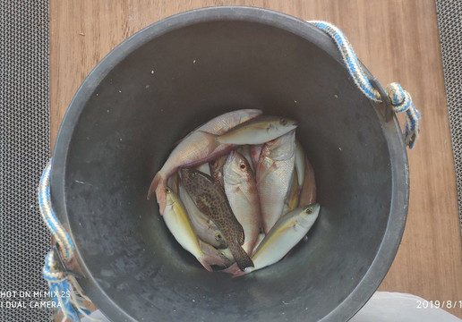 Catamaran Ramayana-芭堤雅必去景点