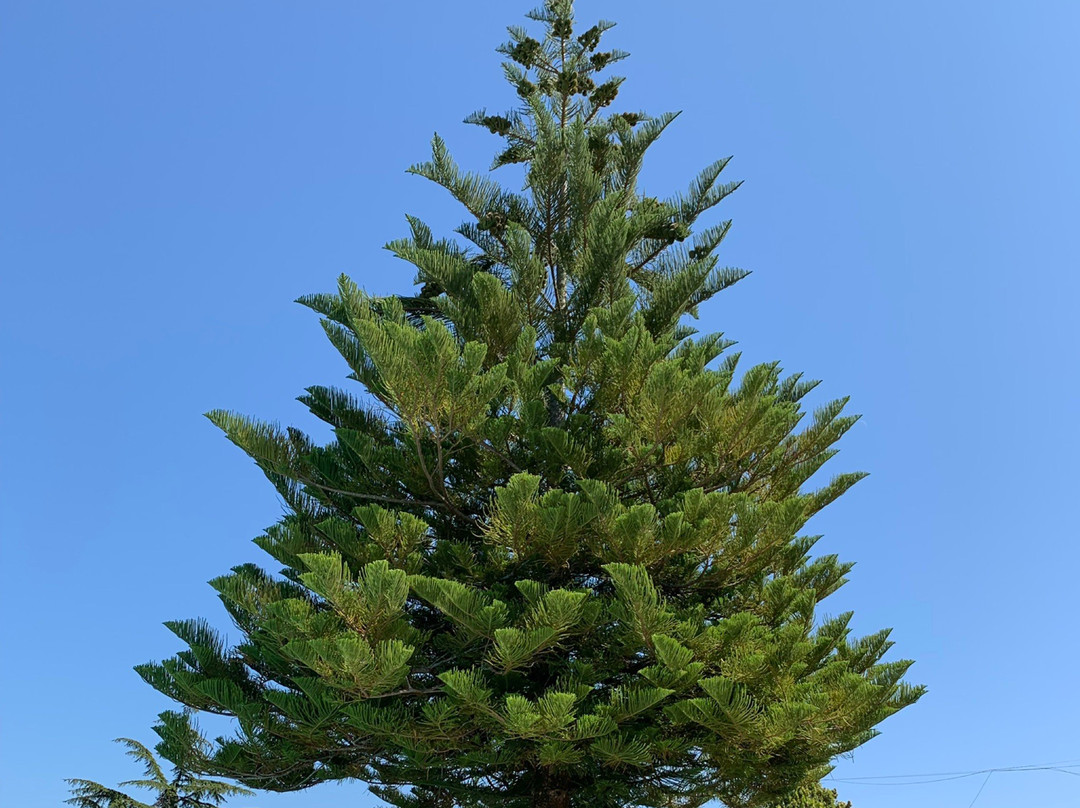 Quinta Dom Sapo主图