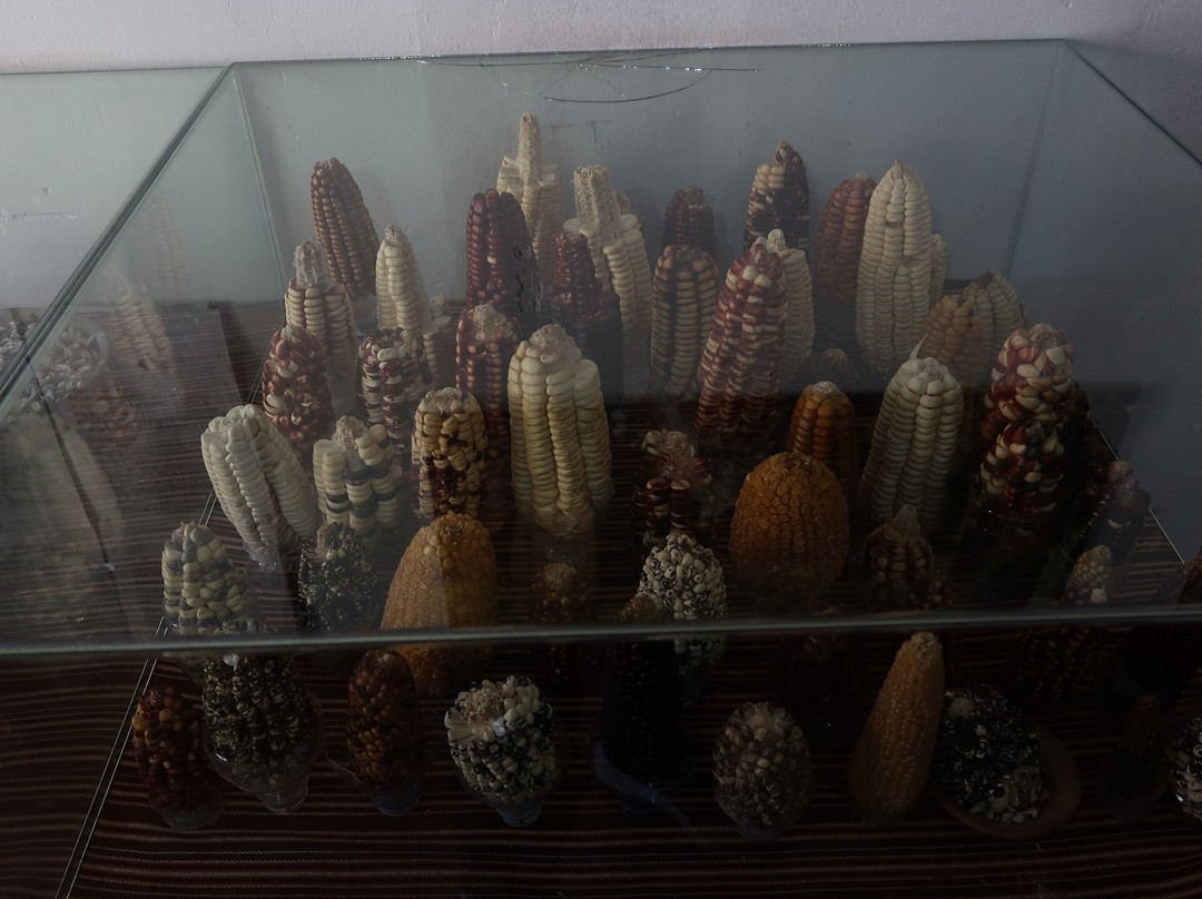 Museo Ritos Andinos-Andahuaylillas必去景点