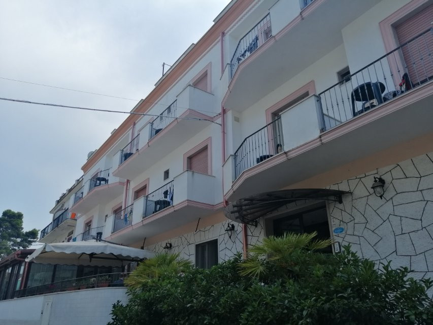 Hotel Pineta主图