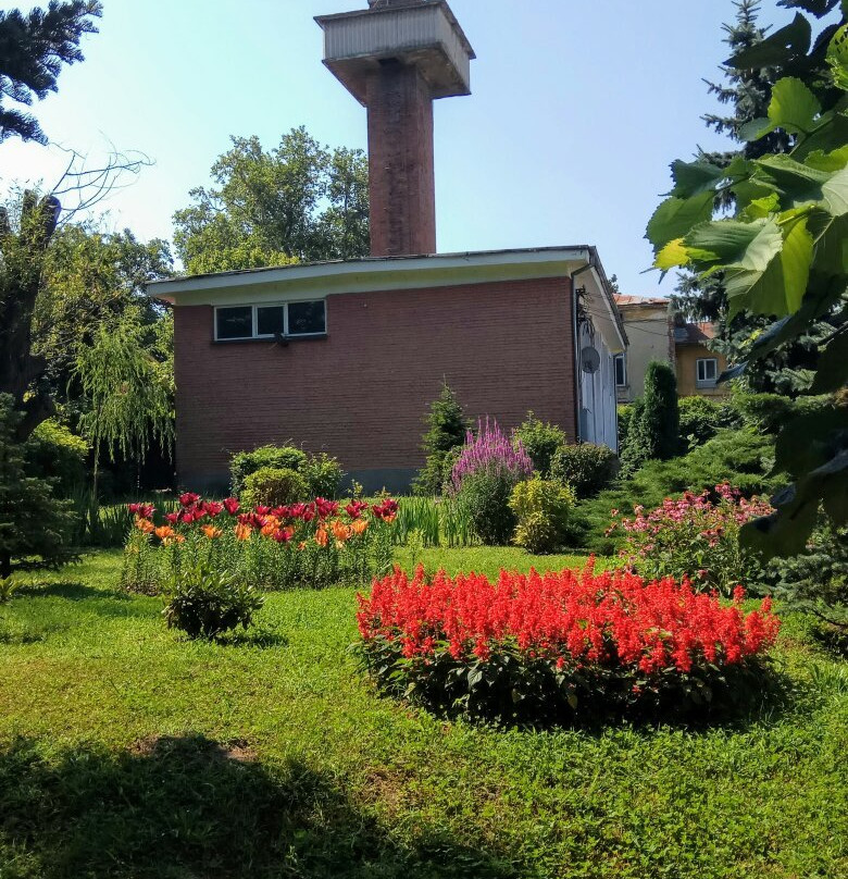 Grădina Botanică Craiova (Botanical Garden)景点图片