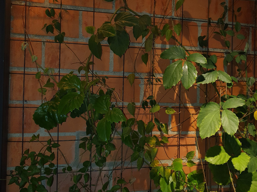 Hotel Distrito 21主图